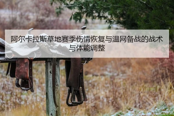 阿尔卡拉斯草地赛季伤情恢复与温网备战的战术与体能调整